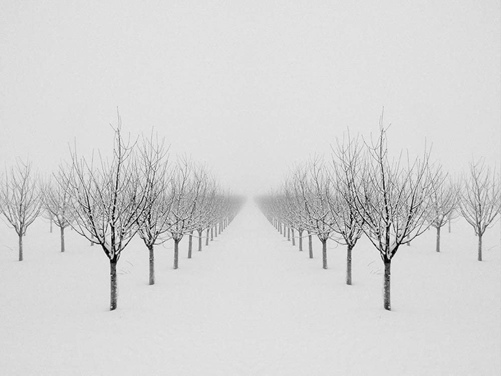 Winter-003-1000-S.jpg