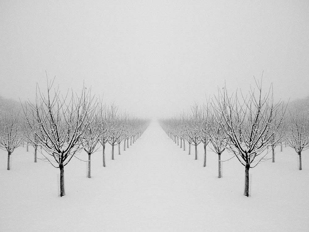 Winter-003-1000-S3.jpg